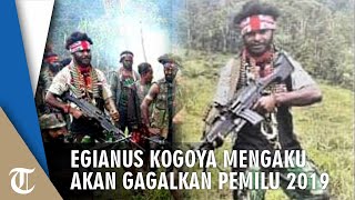 Pimpinan KKB Egianus Kogoya Mengaku Siap Boikot Pemilu 2019 di Nduga dan Telah Siapkan Pasukan