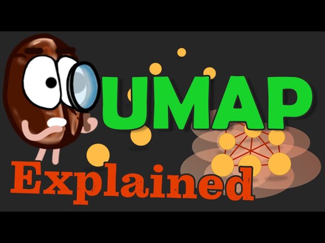 What is UMAP | AI Basics | AI Online Course