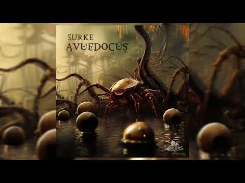 Surke - Futuro Reverso