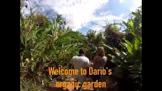 Volunteering in Honduras - Organic Farming