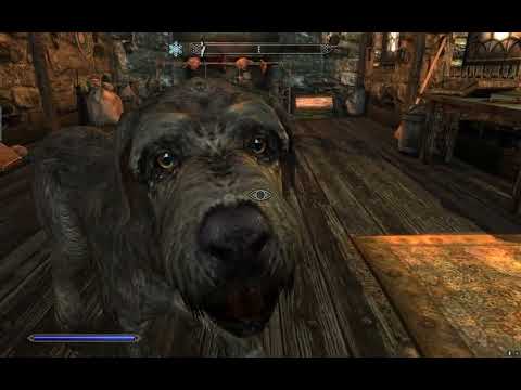 Elder Scrolls V #Skyrim  Anniversary Edition #Legendary #Survival Mode Walkthrough • Episode #29