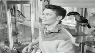 Peter Kraus - Ich denk an dich 1958