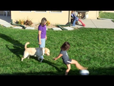 download lagu mp3 mp4 Can Essential Oils Cause Seizures, download lagu Can Essential Oils Cause Seizures gratis, unduh video klip Can Essential Oils Cause Seizures