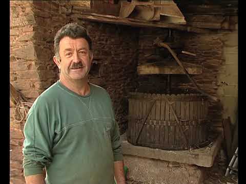 Las pomas, los perons e la citra