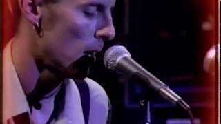 Toadies - Goolie Get-Together (Groovy Goolies)