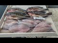 How To Fillet Tilapia