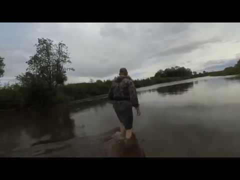 На реку за жерехом в слом погоды