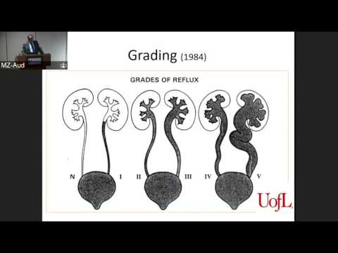 How to Navigate Different Guidelines for Management of Vesicoureteric Reflux and Other Diseases