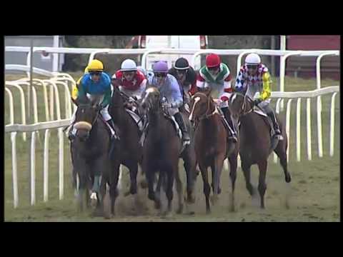 Ribot Cup - 1 Marzo 2015 - San Rossore