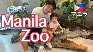 【Vlog】マニラ動物園で過ごす休日【マニラで子育て】【Manila Zoo】