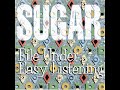 15 •  Sugar - Can't Help You Anymore (Demo Length Version)