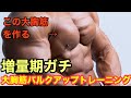 【大胸筋をどんどんデカくする!】増量期の大胸筋トレーニング