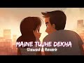 Maine Tujhe Dekha ( Slowed & Reverb ) | Ali Zafar | Lo-Fi TV