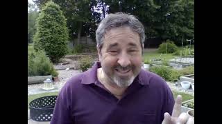 White Fragility - Chapter 9, anaylzed by Mark Stewart