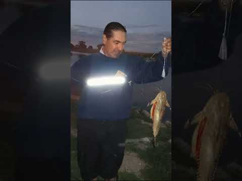 me fui de pesca a baradero  provincia  de Buenos Aires.