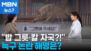 [사건추적] 밥 그릇·칼 자국?! 늑구 논란, 해명은? / 23명 숨졌는데 아리셀 대표 '감형' [MBN 뉴스7]