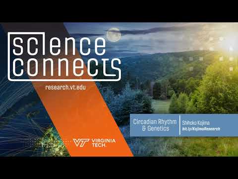 Circadian rhythm and genetics