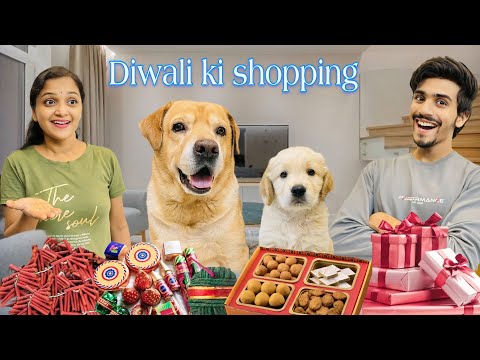 Diwali Ki Shopping | Leo Ka Baby Pagal hogya | Anant Rastogi