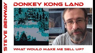 Donkey Kong Land on Game Boy / What would make me sell up?