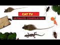 CATS TV ULTIMATE Games Compilation For CATS DOGS Realistic Cat Games Mix 3 HOURS