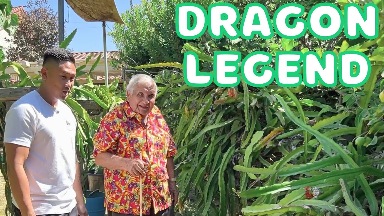 Dragon Fruit LEGEND Shares 20+ Years of Expertise! Edgar Valdivia's Garden Tour