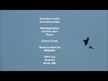 Provoked Fight: Distraction by Ravens / Afleidingstaktiek Raven (Corvus Corax)