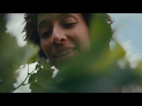 Journey Beyond Rail - Australia By Train launch