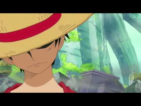 lo siento por la tardanza