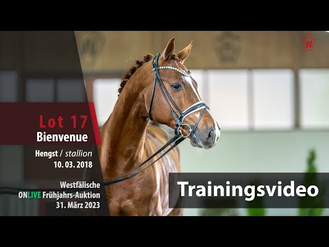 ONLIVE Frühjahrs-Auktion Training Lot 17 Bienvenue Hengst v. Baron (DK) - De Niro