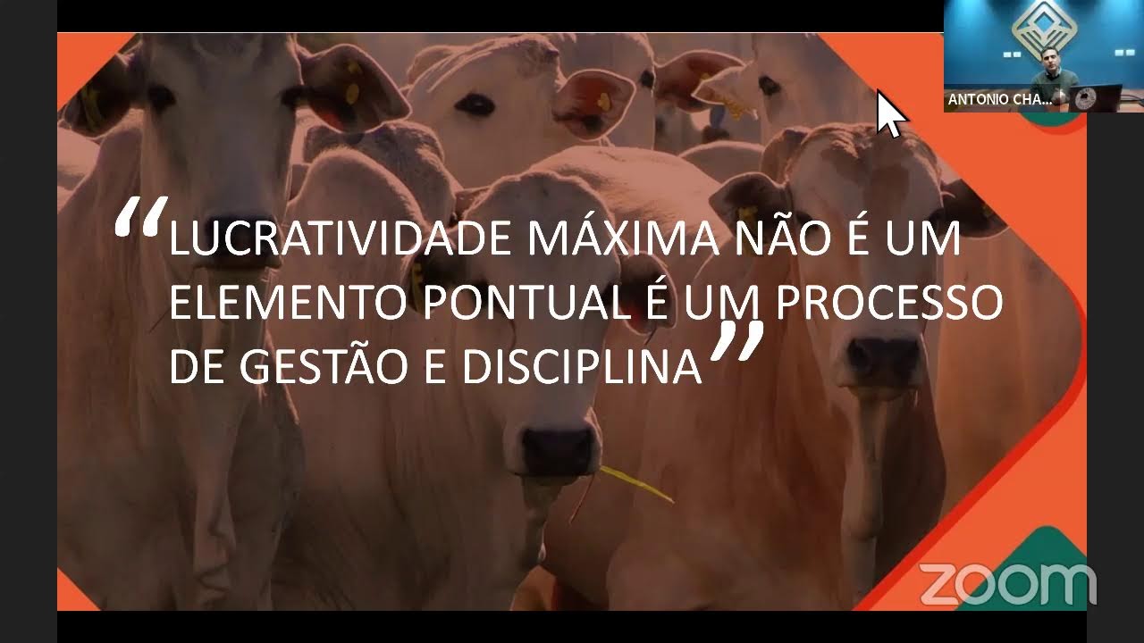AULA SECRETA: O que te impede de ganhar dinheiro na pecuária!