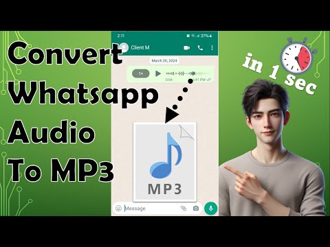 Vídeo: Converter áudio WhatsApp para MP3: perguntas e respostas