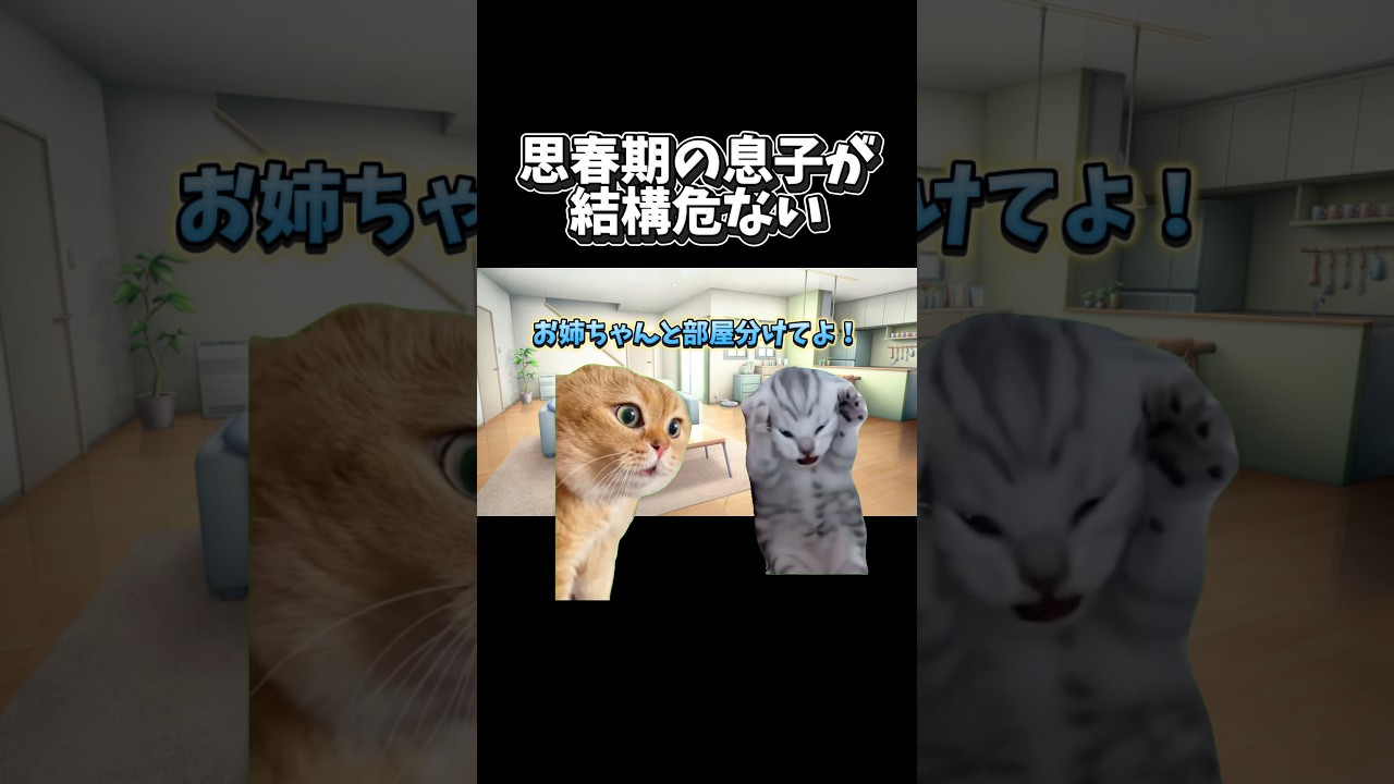 【猫ミーム】思春期の息子が結構危ない