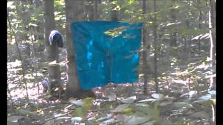 Kaz vs Wild 4 Baby Fresh Keeping Your Body Clean