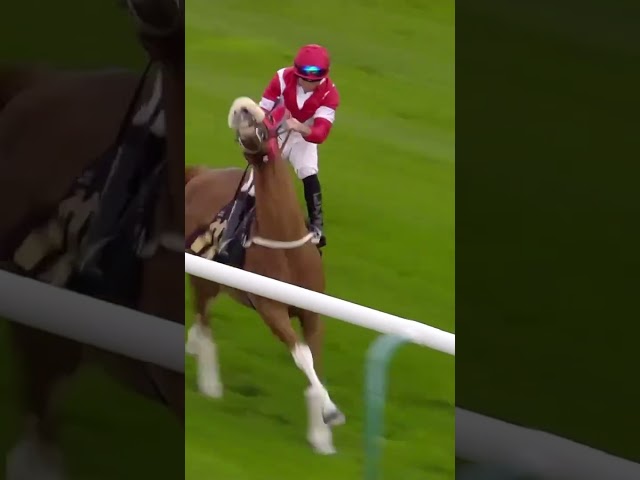 Thumbnail for Post ID: 6BYAkcSQ_uA