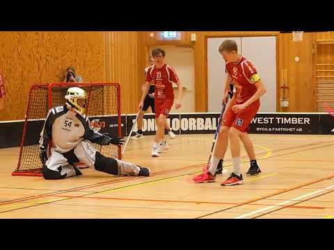 20230319 HJ Bergum - Lerum goals