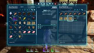 【参加○】Ark/ASA　アイランド編　雷電将軍のサバイバル生活７日目　(PS5)
