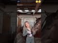Horse Funny Horse Girl Shorts Cats Cute Trend Crazy Reels Women Dog