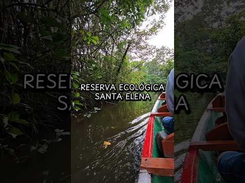 Disfruta un poco del recorrido de la Reserva Ecológica Santa Elena #turismo #rioja