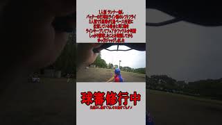 1人制 球審 ランナー無し ライン際のレフトフライの場合 #野球  #草野球  #審判 #球審