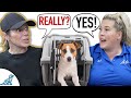 Puppy Crate Training Changes EVERYTHING!