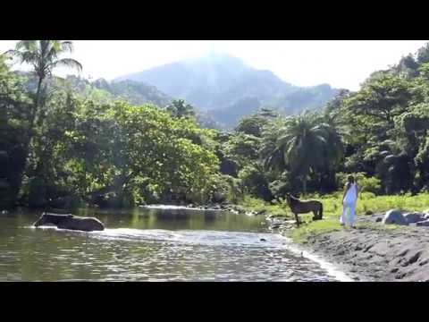The Heart of the Universe - Connecting with horses in St. Vincent.