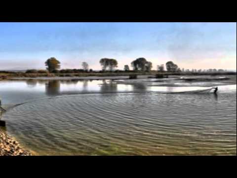 Radesti si imprejurimi