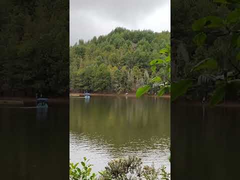 La Laguna de Cacota con Moras Salvajes #viajando #colombia #nortedesantander
