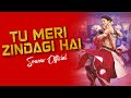 Tu Meri Zindagi Hai Club Remix Sourav Official Kumar Sanu 90s Bollywood Hit Song