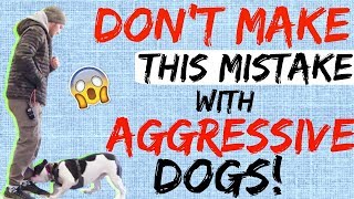 My Dog is Aggressive, What do I do? - How to Handle Aggressive Dog Behavior