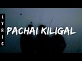 Pachai Kiligal Tholodu Song ️