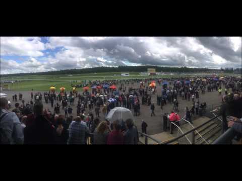 newbury races 20/5/2017