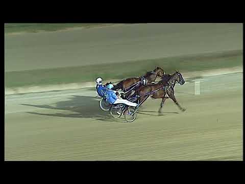 Napoli Trotto 06/08/2021 - 3ª prova di qualifica