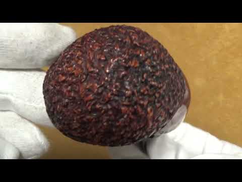 Pipa Pascucci rusticata con inserto in corno - Bent Apple - PS124