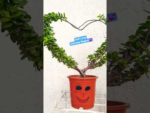 Embrace Your Uniqueness 💞💞🍀🪴 #shorts #trending #selflove #motivation #plants #PrajuKaGarden #garden